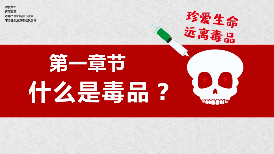 儿童禁毒知识宣传教育17.pptx_第3页