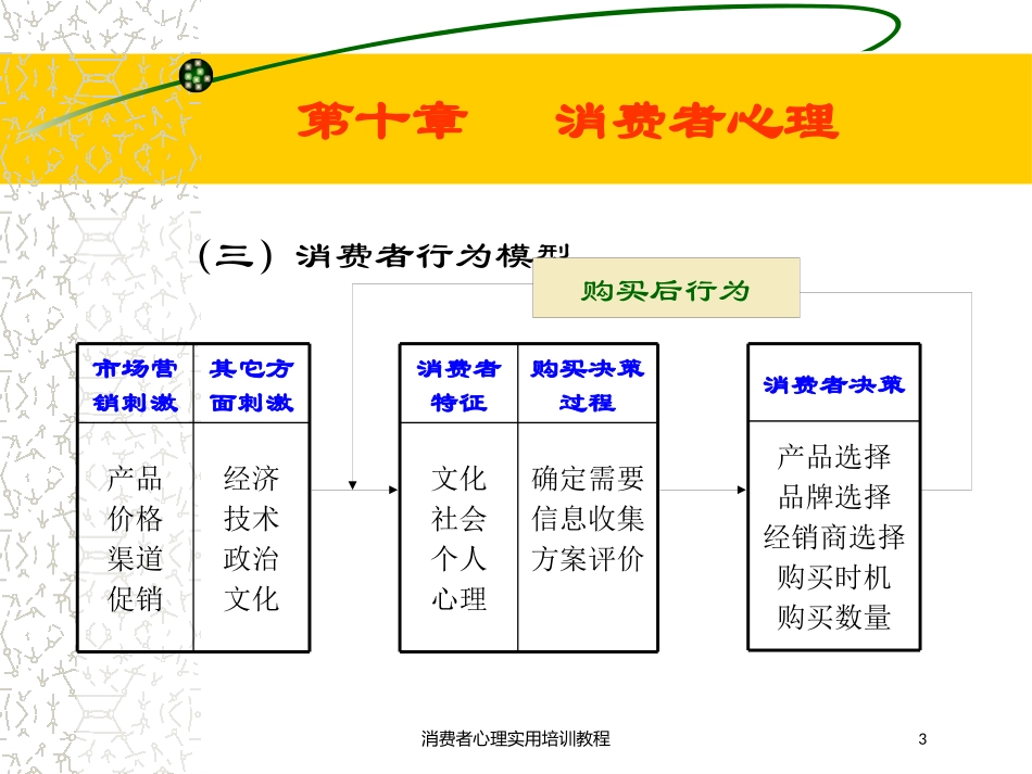 消费者心理实用培训教程培训课件.pptx_第3页