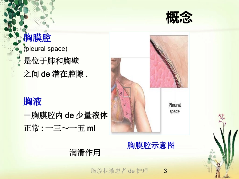 胸腔积液患者的护理培训课件.pptx_第3页