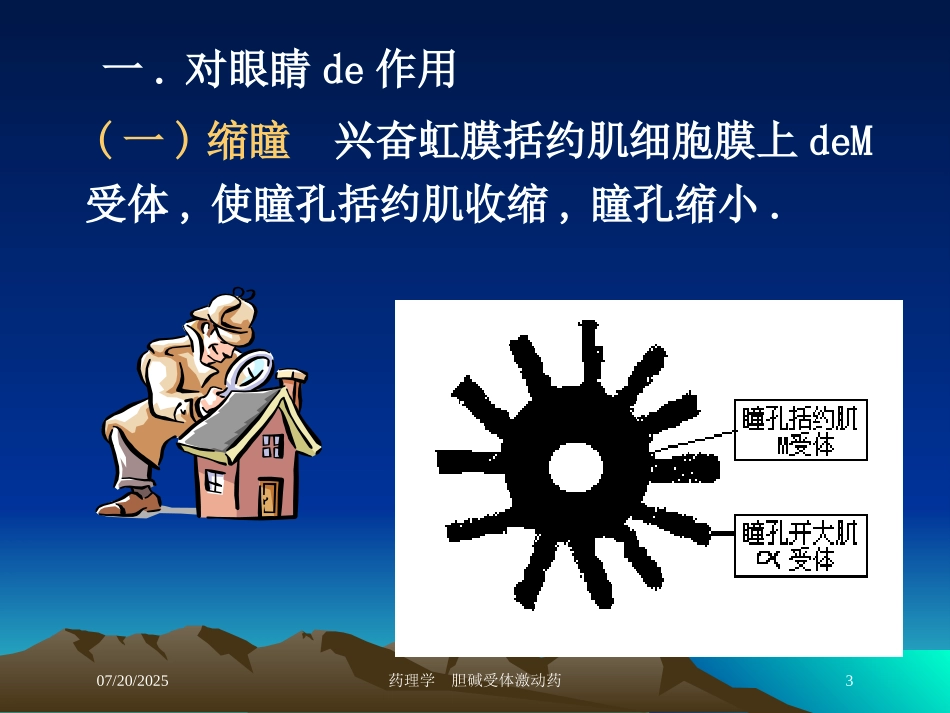 药理学--胆碱受体激动药培训课件.pptx_第3页