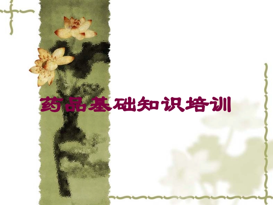 药品基础知识培训培训课件.pptx_第1页
