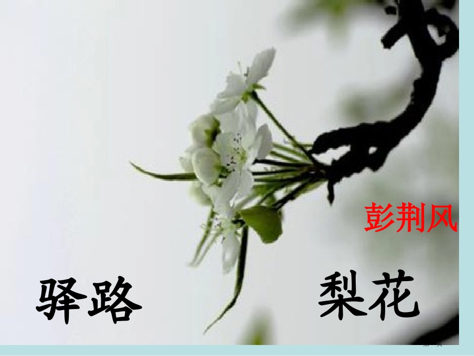 驿路梨花知识点..名师优质课赛课一等奖市公开课获奖课件.pptx_第1页