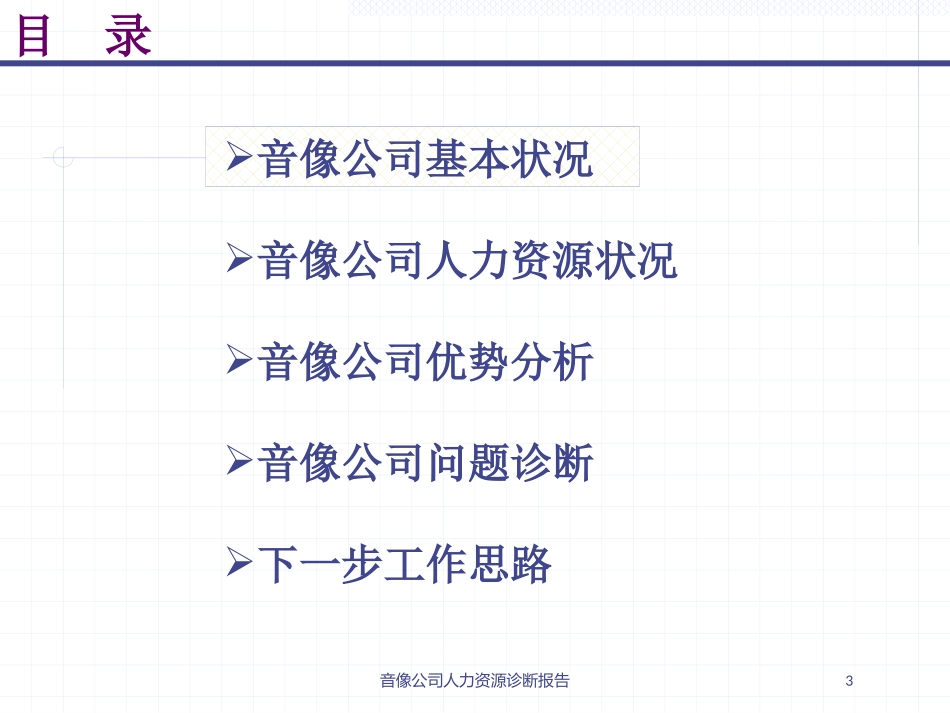 音像公司人力资源诊断报告培训课件.pptx_第3页