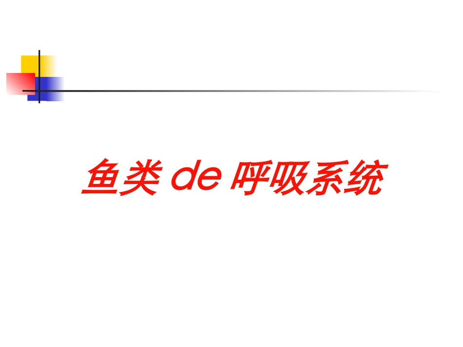 鱼类的呼吸系统培训课件.pptx_第1页