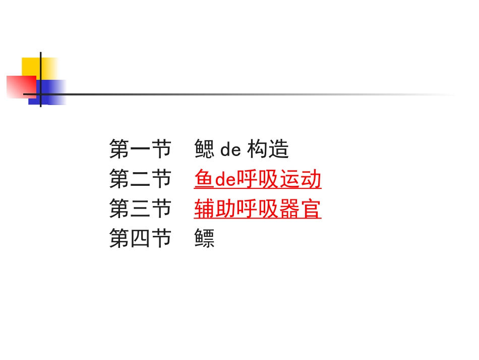 鱼类的呼吸系统培训课件.pptx_第2页