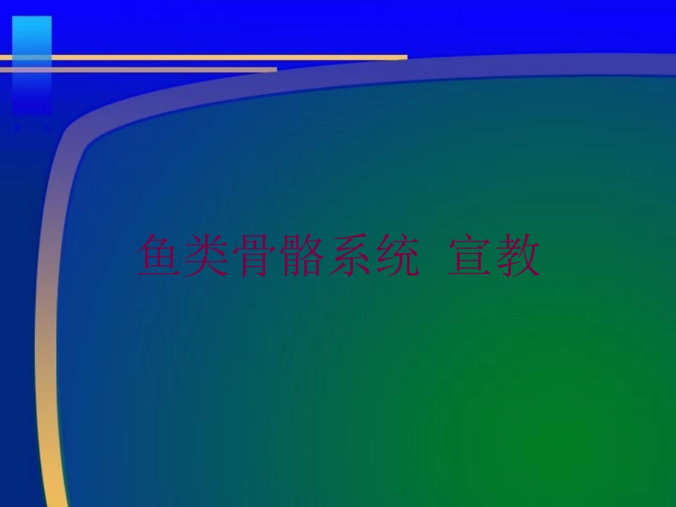 鱼类骨骼系统-宣教培训课件.pptx_第1页