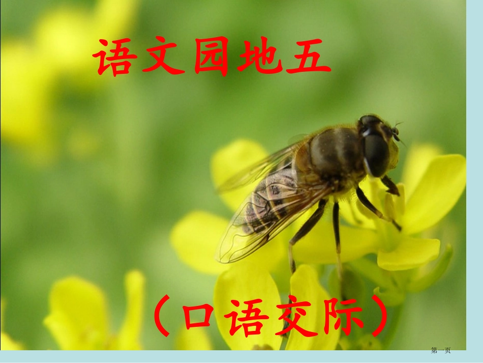 语文园地五口语交际名师优质课赛课一等奖市公开课获奖课件.pptx_第1页