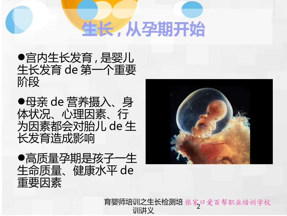 育婴师培训之生长检测培训讲义培训课件.pptx_第2页