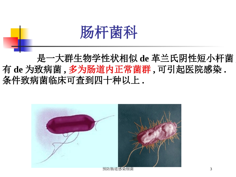 预防肠道感染细菌培训课件.pptx_第3页