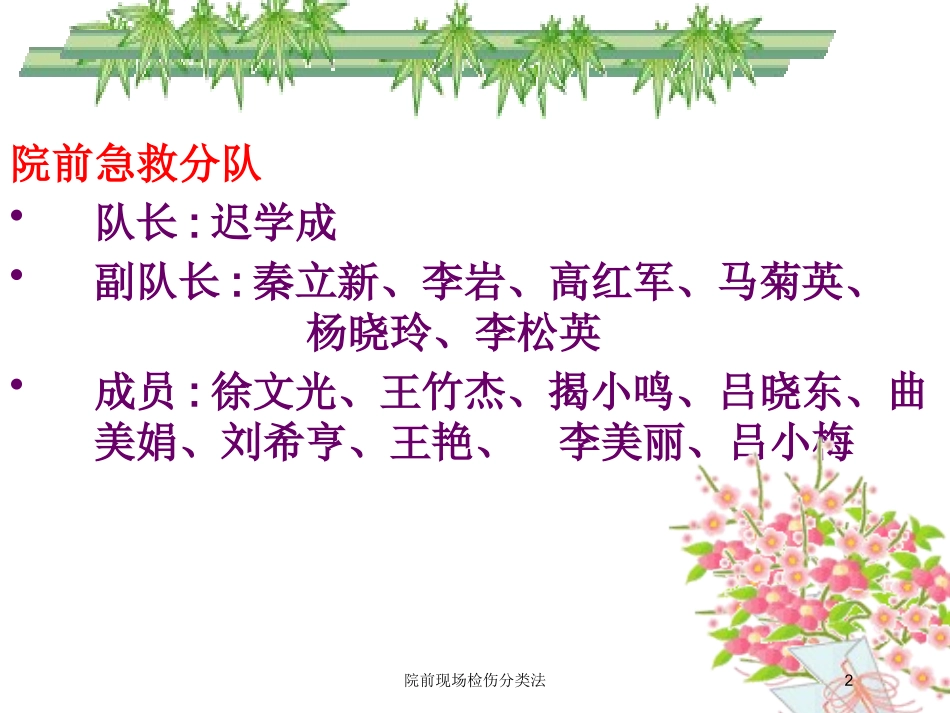 院前现场检伤分类法培训课件.pptx_第2页