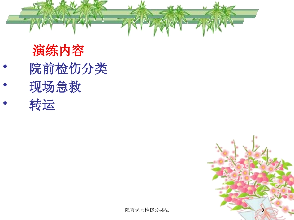 院前现场检伤分类法培训课件.pptx_第3页