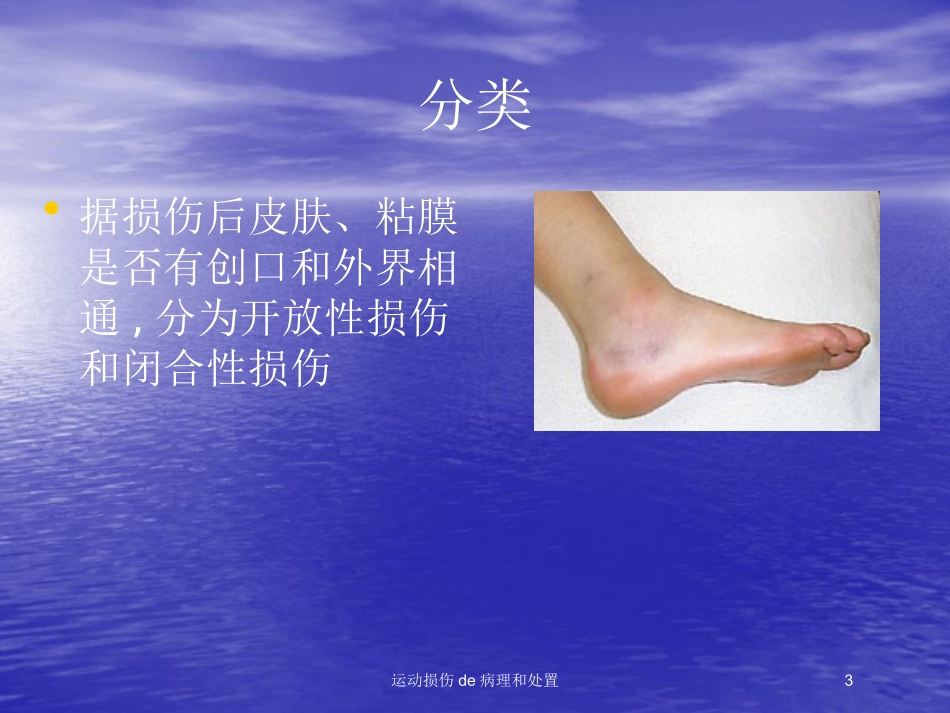 运动损伤的病理和处置培训课件.pptx_第3页