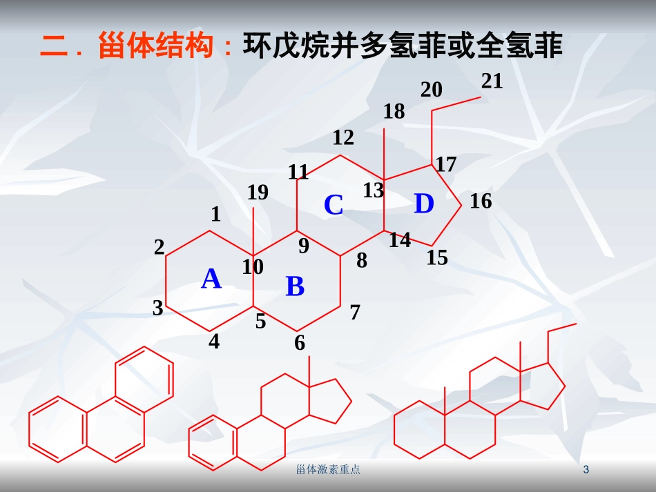甾体激素重点培训课件.pptx_第3页
