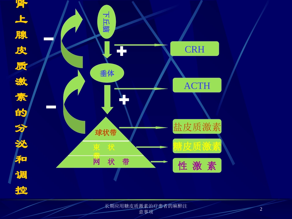 长期应用糖皮质激素治疗患者的麻醉注意事项培训课件.pptx_第2页