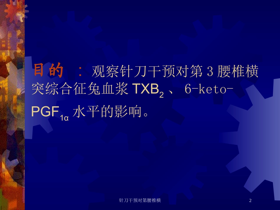 针刀干预对第腰椎横培训课件.pptx_第2页