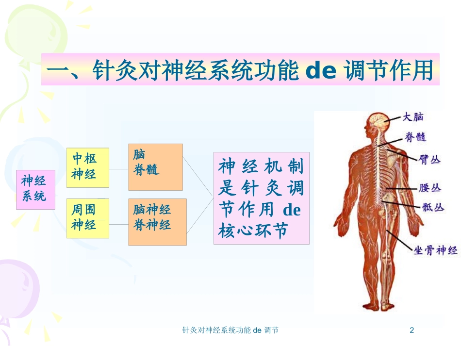针灸对神经系统功能的调节培训课件.pptx_第2页