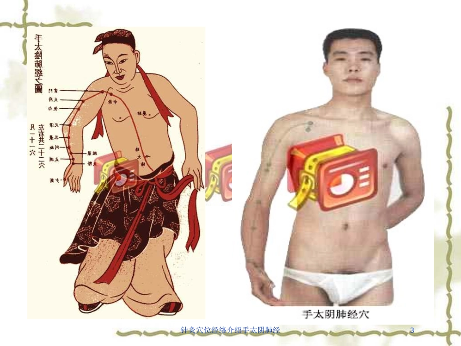 针灸穴位经络介绍手太阴肺经培训课件.pptx_第3页