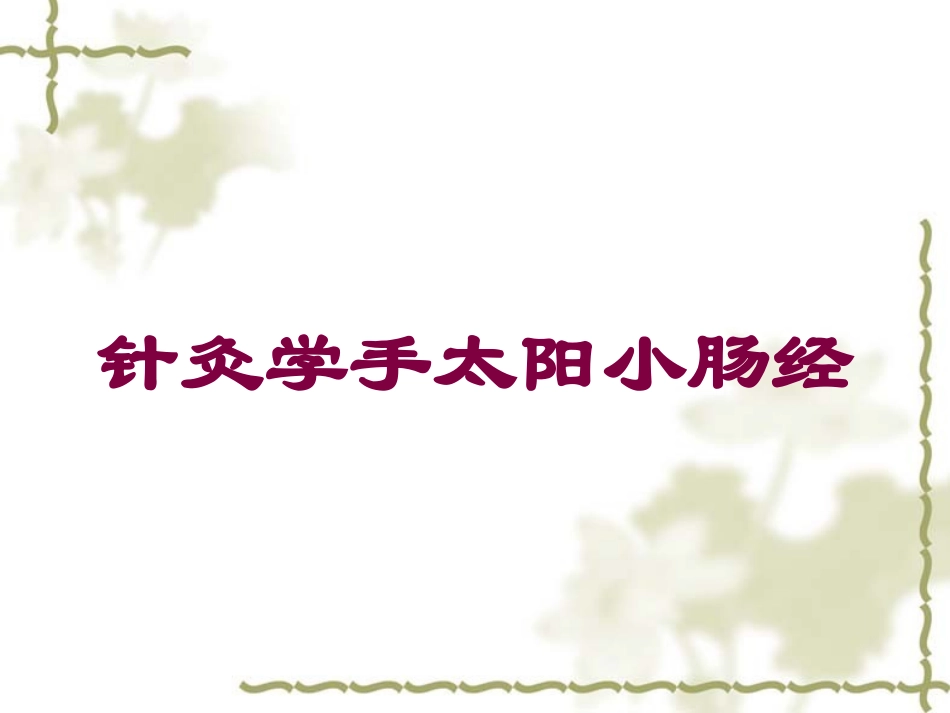 针灸学手太阳小肠经培训课件.pptx_第1页