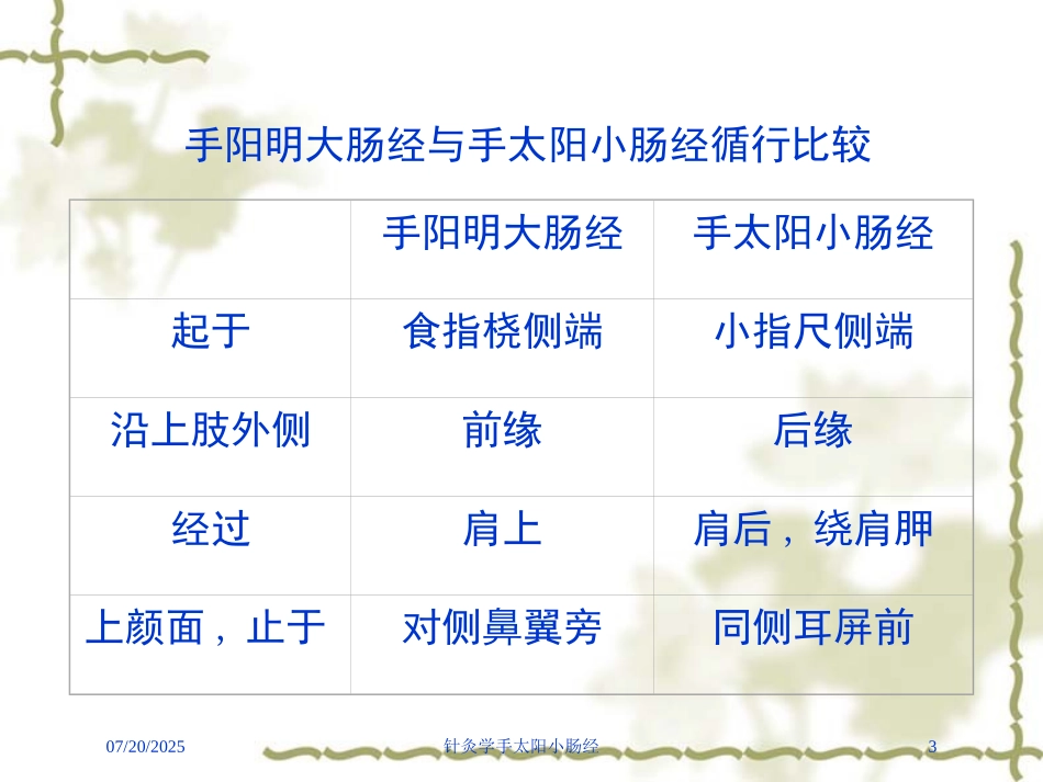 针灸学手太阳小肠经培训课件.pptx_第3页