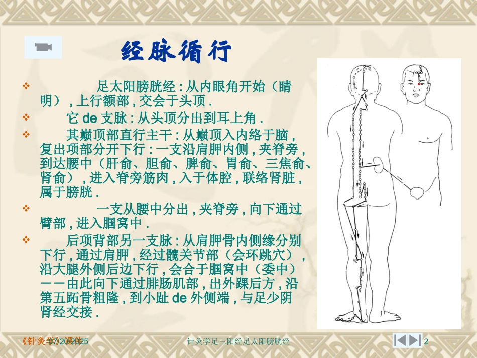 针灸学足三阳经足太阳膀胱经培训课件.pptx_第2页