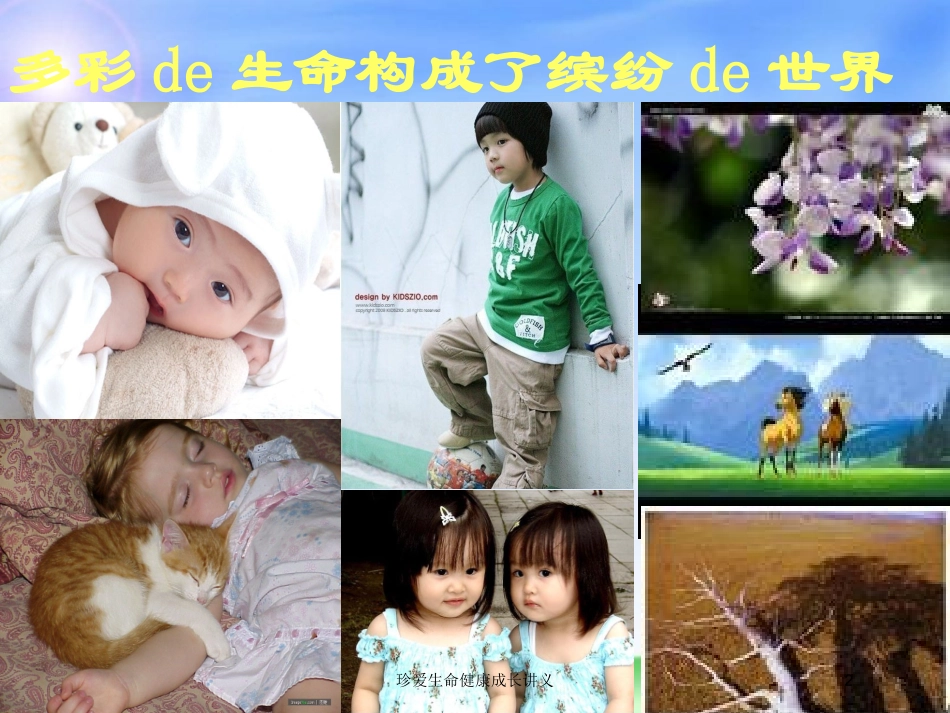 珍爱生命健康成长讲义培训课件.pptx_第2页