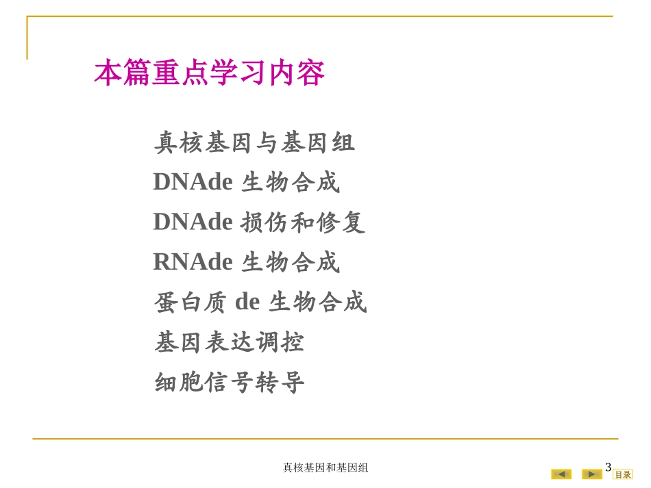 真核基因和基因组培训课件.pptx_第3页