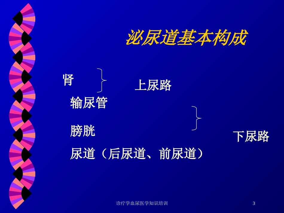 诊疗学血尿医学知识培训培训课件.pptx_第3页
