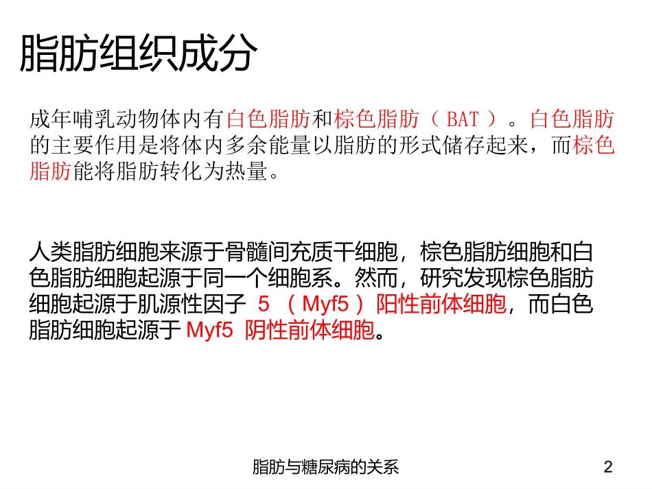 脂肪与糖尿病的关系培训课件.pptx_第2页