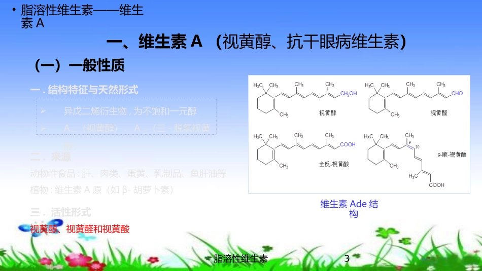 脂溶性维生素培训课件.pptx_第3页