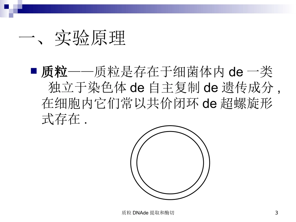 质粒DNA的提取和酶切培训课件.pptx_第3页