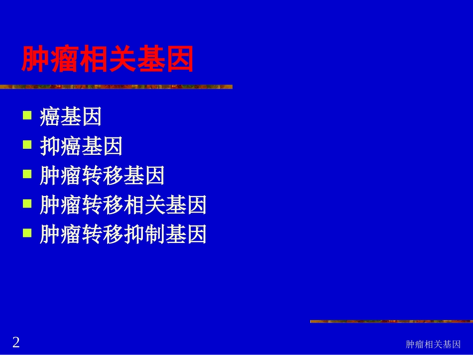 肿瘤相关基因培训课件.pptx_第2页