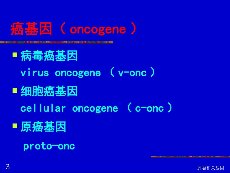 肿瘤相关基因培训课件.pptx_第3页