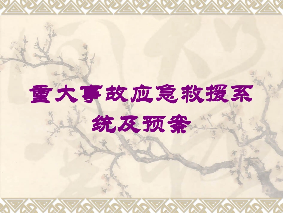 重大事故应急救援系统及预案培训课件.pptx_第1页