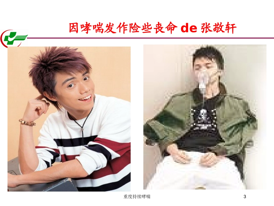 重度持续哮喘培训课件.pptx_第3页