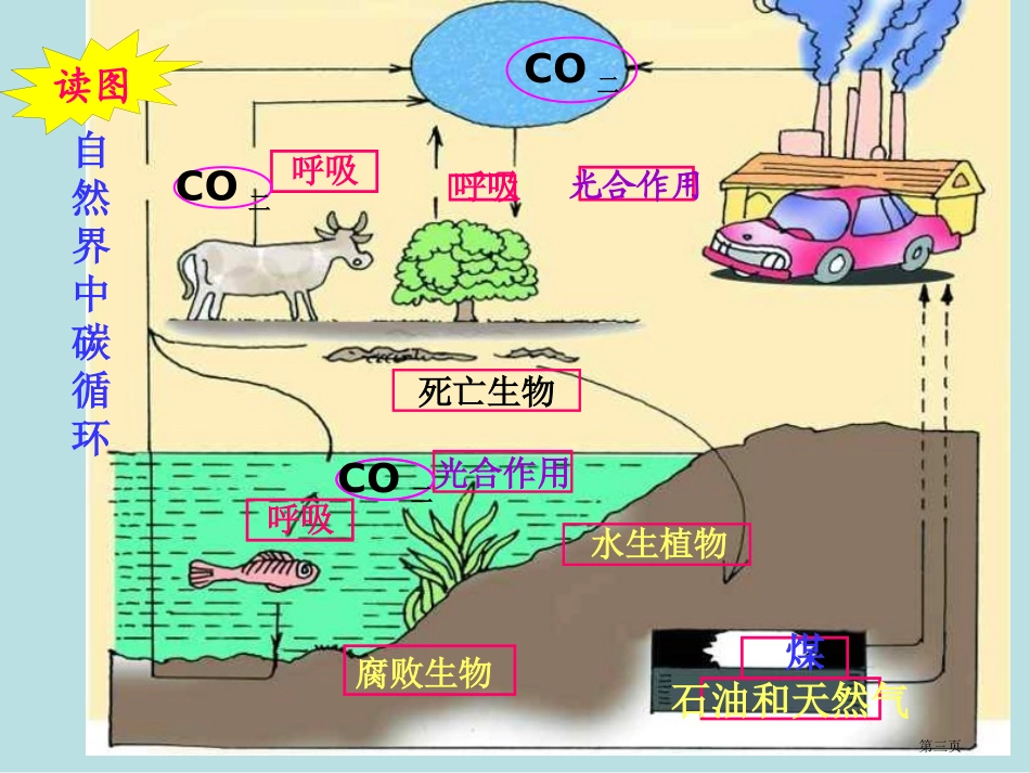 自然界中氧和碳的循环浙教版名师优质课赛课一等奖市公开课获奖课件.pptx_第3页