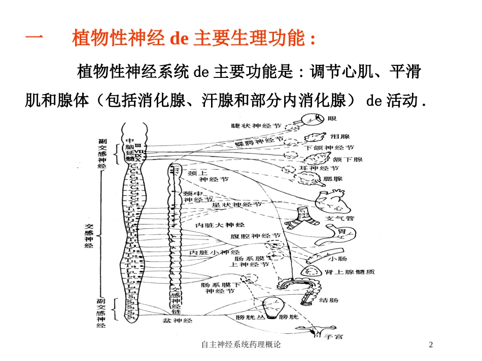 自主神经系统药理概论培训课件.pptx_第2页