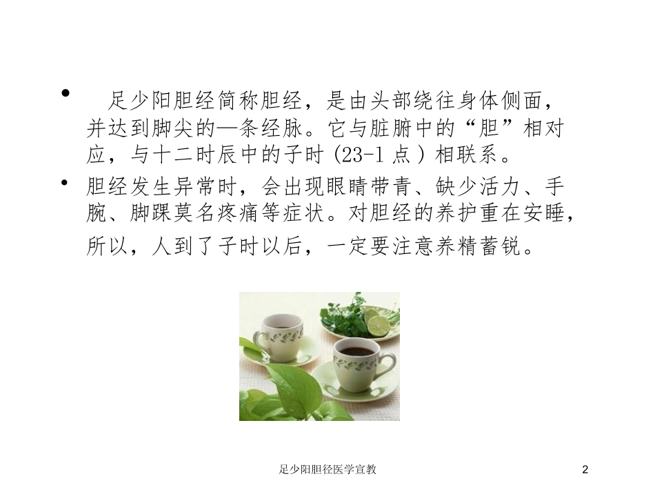 足少阳胆径医学宣教培训课件.pptx_第2页
