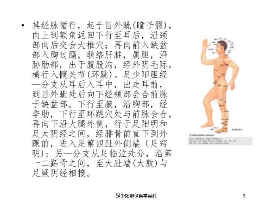 足少阳胆径医学宣教培训课件.pptx_第3页