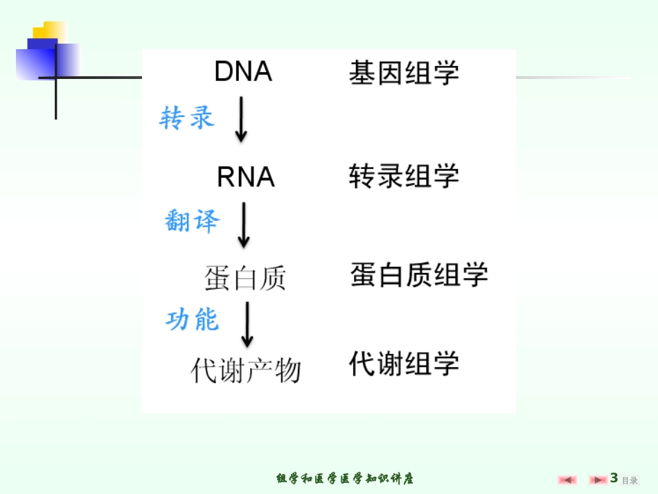 组学和医学医学知识讲座培训课件.pptx_第3页