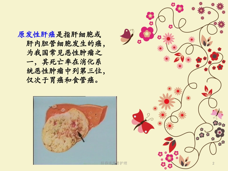 肝昏迷患者护理培训课件.pptx_第2页