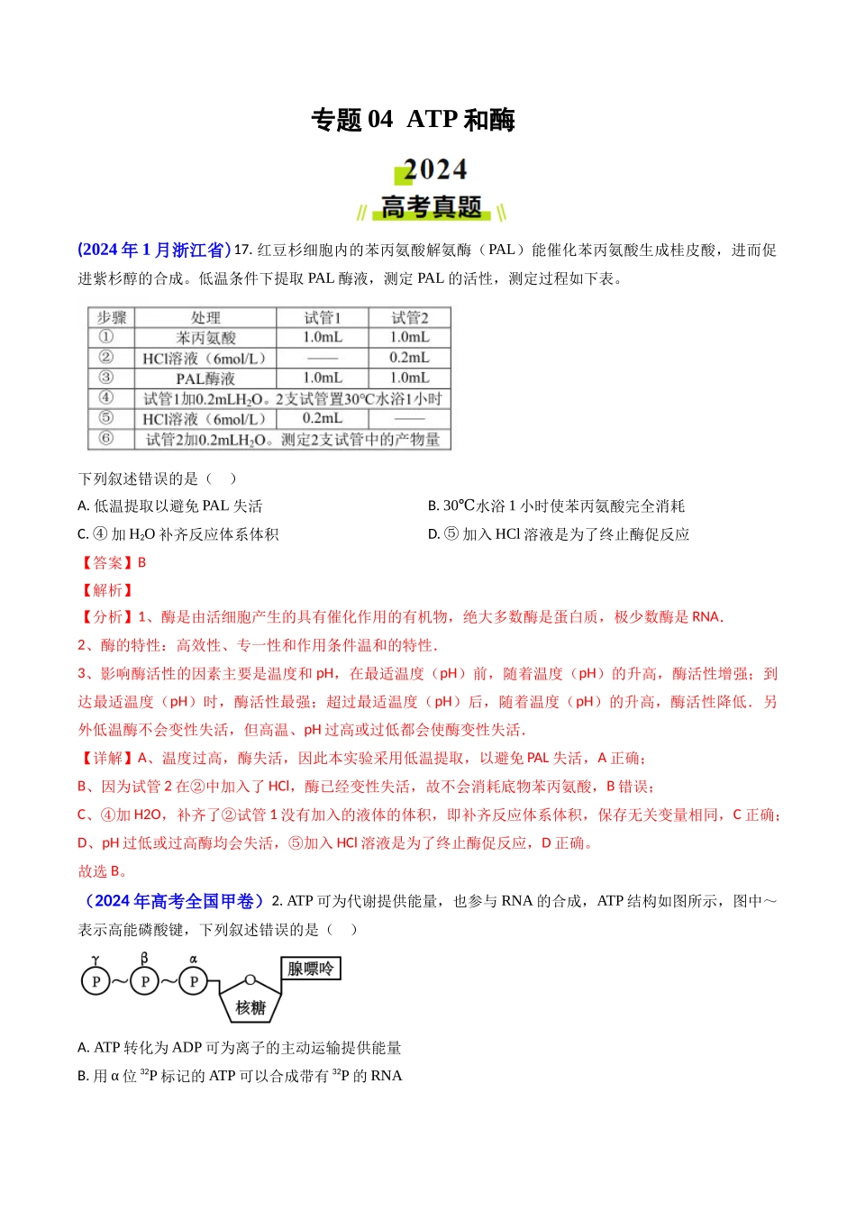 专题04 ATP和酶2024年高考真题和模拟题生物分类汇编（教师卷）.docx_第1页