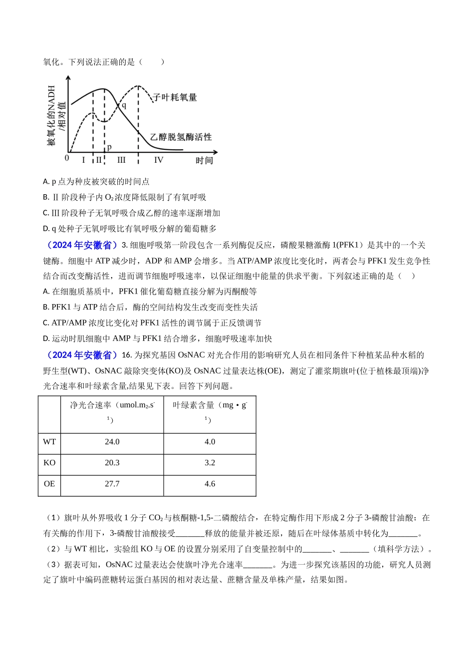 专题05 光合作用与细胞呼吸-2024年高考真题和模拟题生物分类汇编(学生卷）.docx_第3页