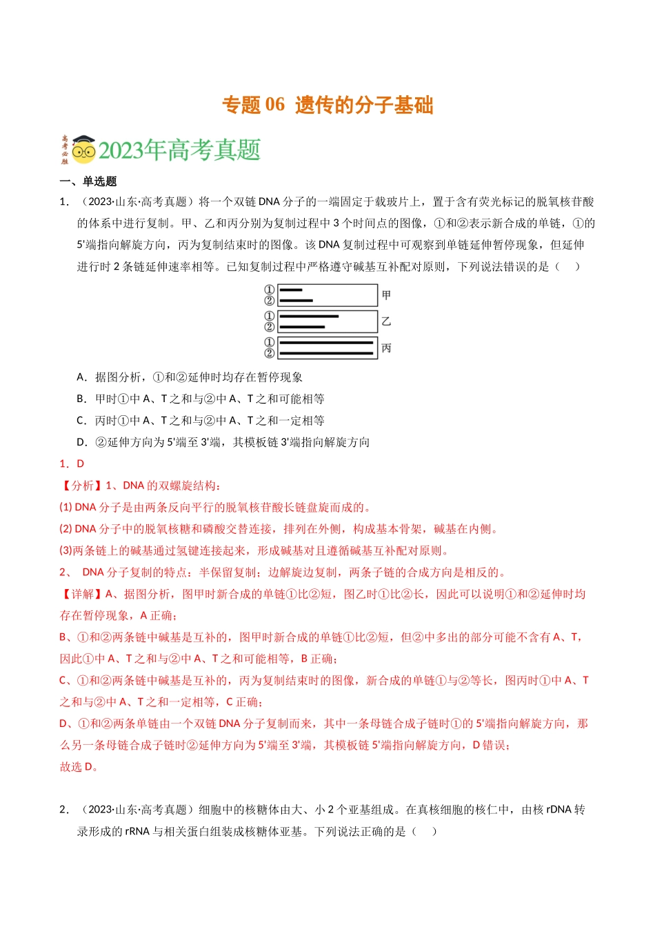 专题06 遗传的分子基础（解析版）.docx_第1页