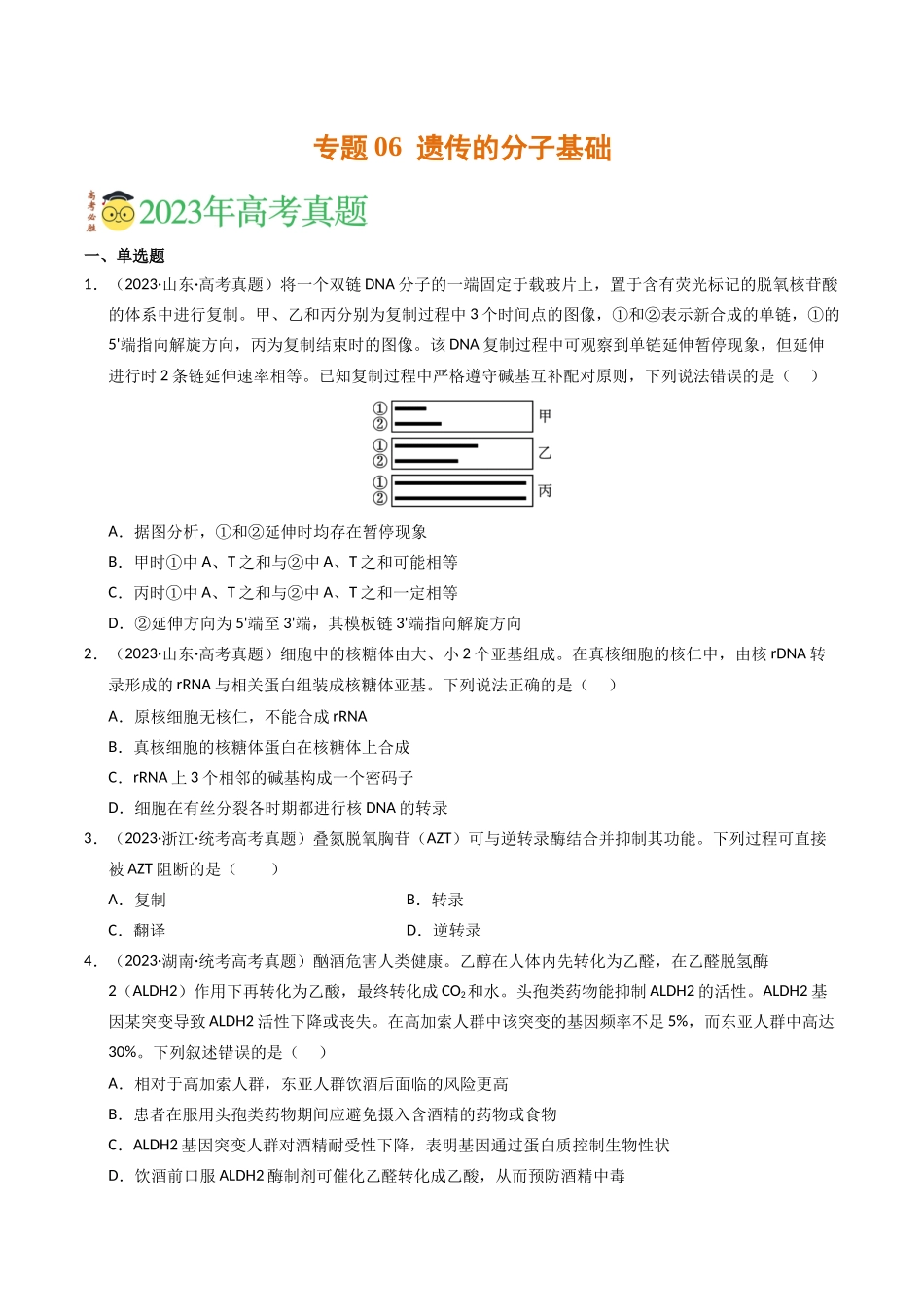 专题06 遗传的分子基础（学生版）.docx_第1页