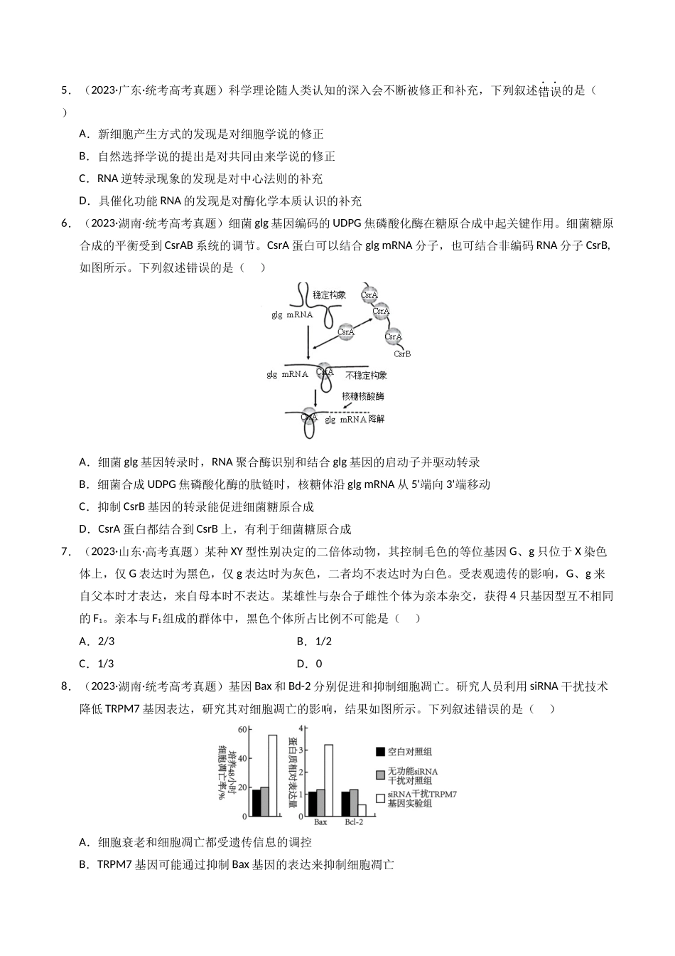 专题06 遗传的分子基础（学生版）.docx_第2页