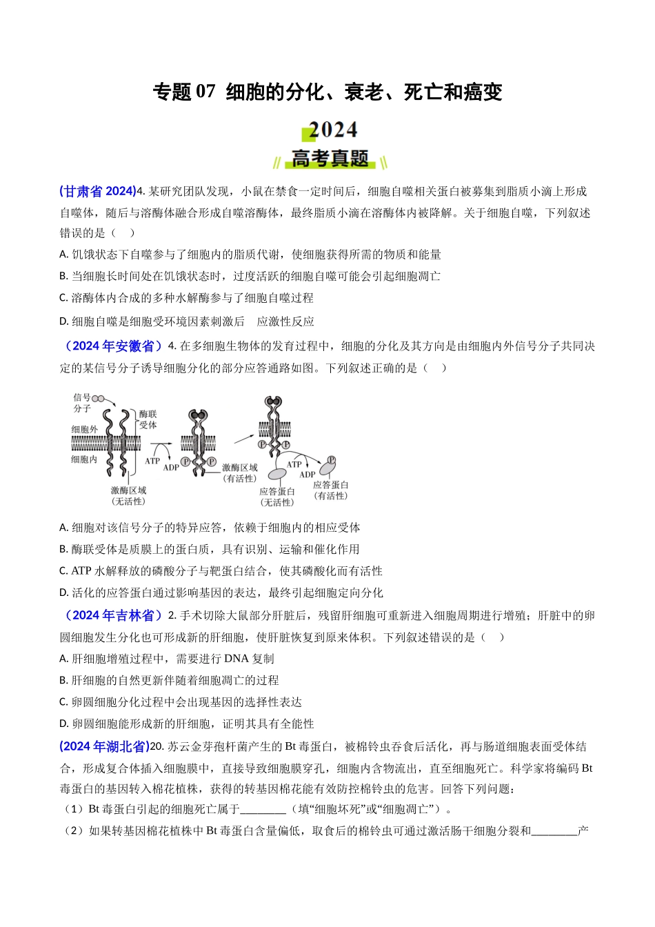 专题07 细胞的分化、衰老、死亡和癌变-2024年高考真题和模拟题生物分类汇编(学生卷）.docx_第1页