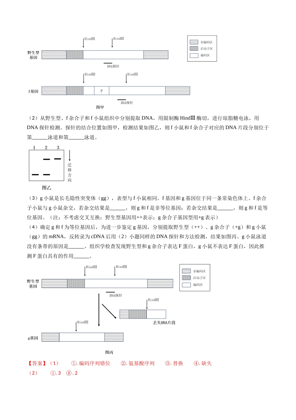专题08 遗传规律和应用-2024年高考真题和模拟题生物分类汇编（教师卷）.docx_第3页