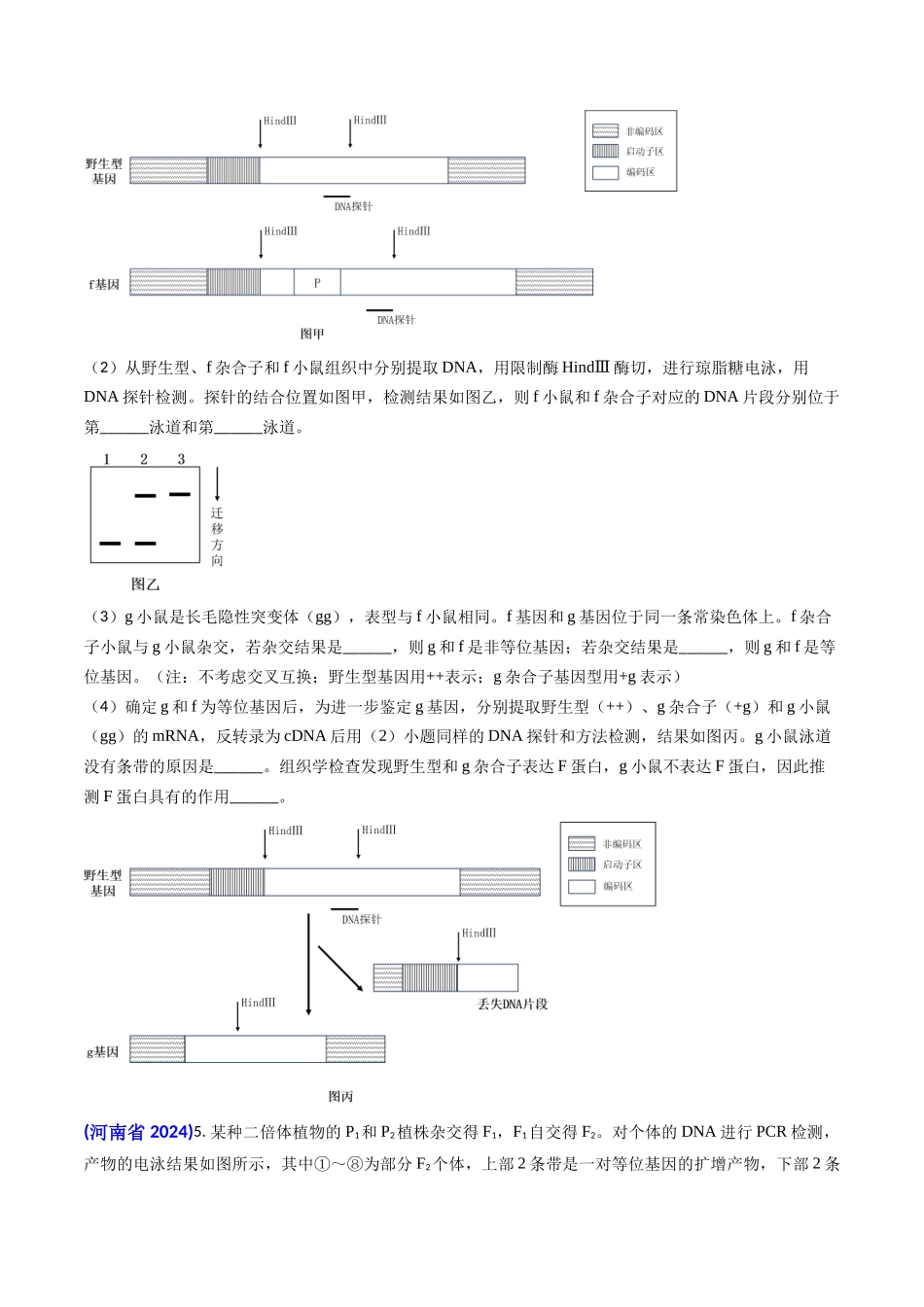 专题08 遗传规律和应用-2024年高考真题和模拟题生物分类汇编(学生卷）.docx_第2页