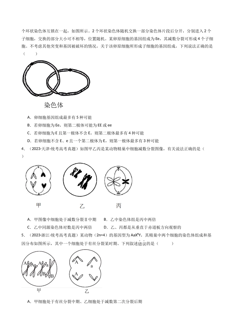 专题08 有丝分裂和减数分裂（原卷卷）.docx_第2页