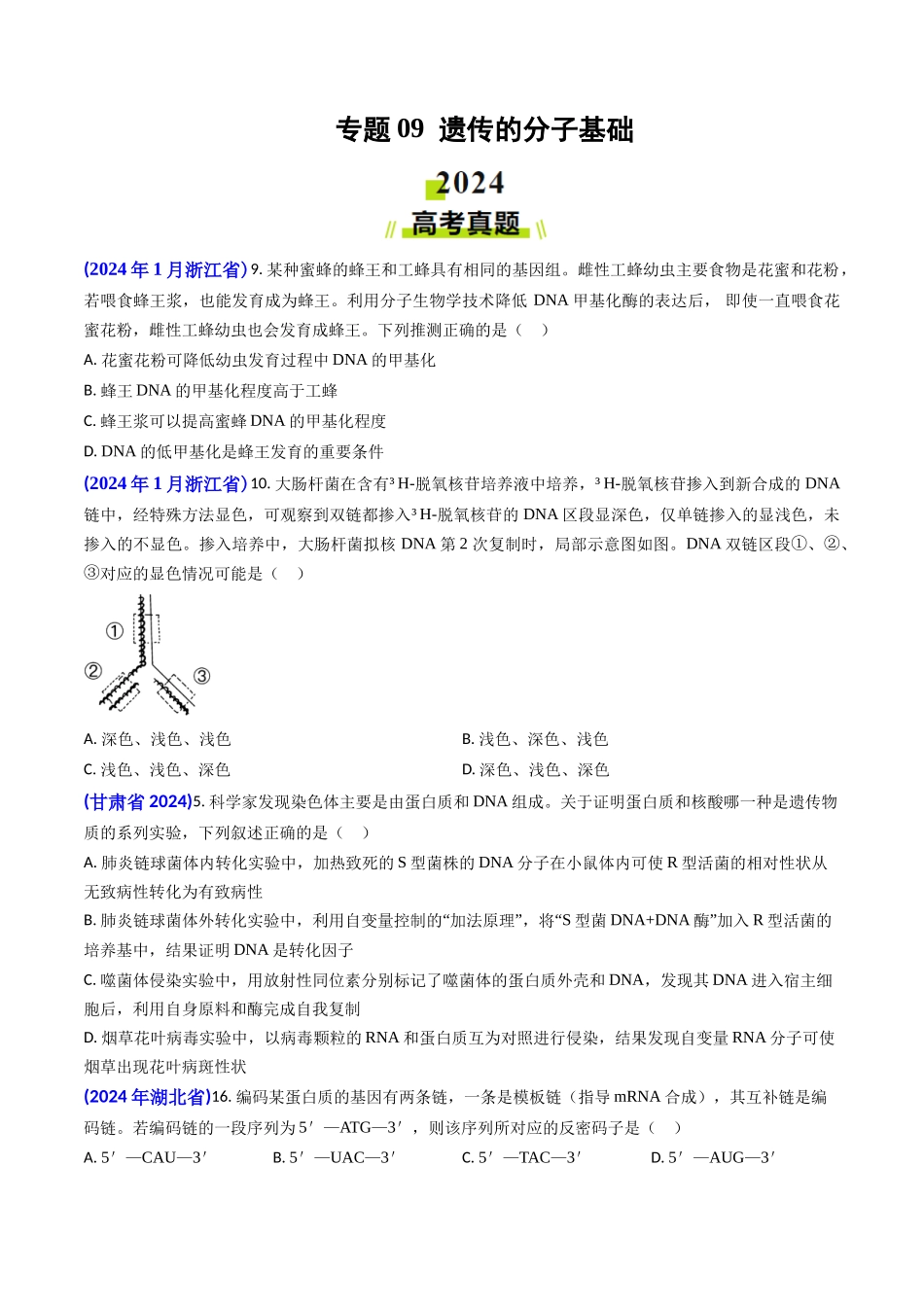 专题09 遗传的分子基础-【2024年高考真题和模拟题生物分类汇编(学生卷）.docx_第1页